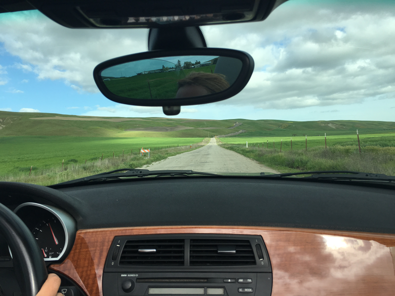 Illustration for article titled did someone say roadtrip? california photo dump